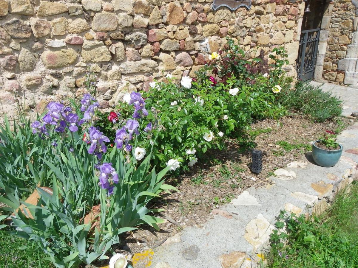 Bed and Breakfast Le Donjon De La Reine Margot Beaumont  Esterno foto